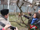 На Трифон Зарезан Корнелия Нинова заряза ритуално лозите в Лесново
