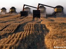 Доклад на ООН: възможно е Русия да се превърне в лидер по износ на пшеница