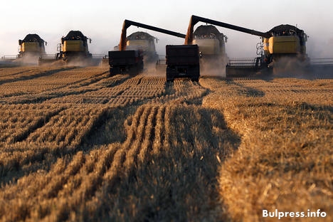 Доклад на ООН: възможно е Русия да се превърне в лидер по износ на пшеница